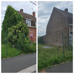 Photo de galerie - Elagage et coupe d'arbres