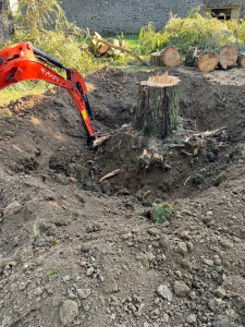 Photo de galerie - Arrachage de souche
