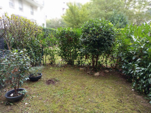 Photo de galerie - Taille de haies et d'arbustes