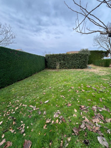 Photo de galerie - Taille de haie 