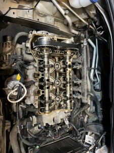 Photo de galerie - Distribution 