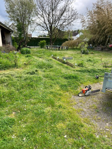 Photo de galerie - Tonte de pelouse - Débroussaillage