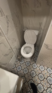 Photo de galerie - Changement d’un wc 