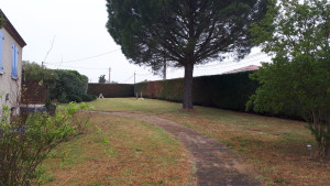 Photo de galerie - Taille haie