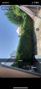 Photo de galerie - Jardinier