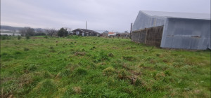 Photo de galerie - Avant debroussaillage et tonte surface 6000m2 