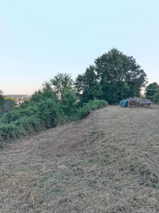 Photo de galerie - Chantier de débroussaillage en cours
