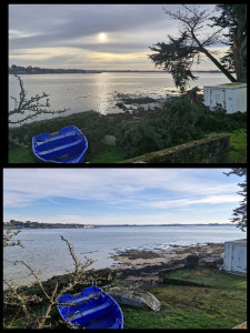 Photo de galerie - Débitage arbre 