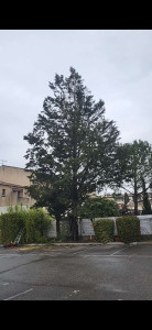 Photo de galerie - Avant 