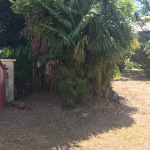 Photo de galerie - Tonte de pelouse - Débroussaillage