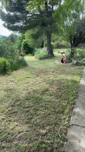 Photo de galerie - Mise au propre et entretien du terrain