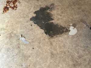 Photo de galerie - Pose de parquet - Revêtement de sol