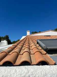 Photo de galerie - Et voilà seulement un mois après déjà un petit résultat, l’ancienne photo était la photo où il y avait le tuyau du pulvérisateur vert qui était présent donc c’est encore en traitement mes on voit déjà une différence ?✅