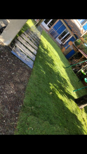 Photo de galerie - Paysagiste - Aménagement du jardin