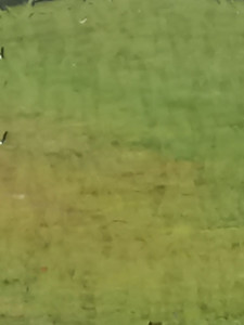 Photo de galerie - Entretien extérieur 