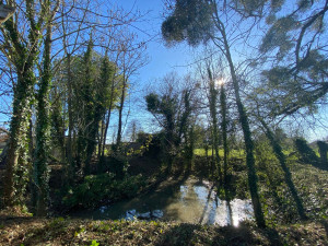 Photo de galerie - Tonte de pelouse - Débroussaillage