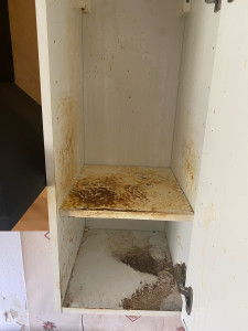 Photo de galerie - Ménage