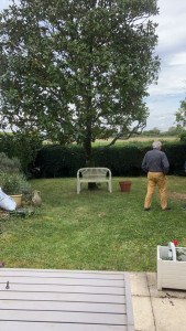 Photo de galerie - Elagage et coupe d'arbres