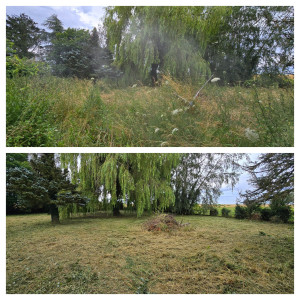 Photo de galerie - Tonte de pelouse - Débroussaillage