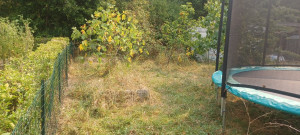 Photo de galerie - Tonte de pelouse - Débroussaillage