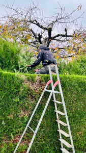 Photo de galerie - Toujours une solution pour un résultat parfait 
