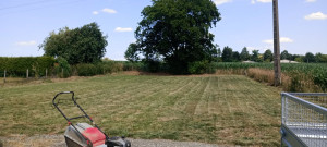 Photo de galerie - Tonte de pelouse - Débroussaillage