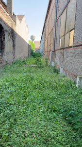 Photo de galerie - Tonte 