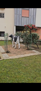 Photo de galerie - Chez mon client 