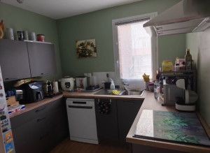 Photo de galerie - Montage d’une cuisine équipée, installation de l’évier intégration des plaques de cuisson, pose d’une hotte aspirante et raccordement du four