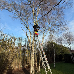 Photo de galerie - Grimpe dans un boulot 