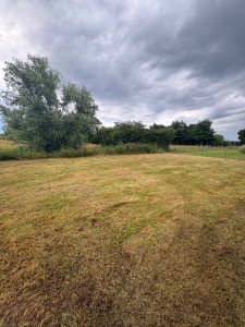 Photo de galerie - Tonte de pelouse - Débroussaillage