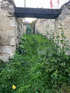 Photo de galerie - Tonte de pelouse - Débroussaillage