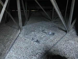 Photo de galerie - Manutention