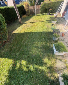 Photo de galerie - Tonte de pelouse