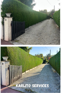 Photo de galerie - Taille de haies et d'arbustes