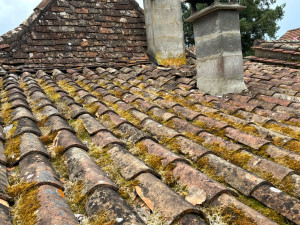 Photo de galerie - Couverture - Toiture