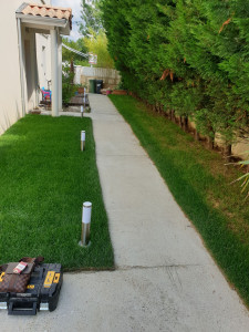 Photo de galerie - Jardinier