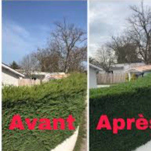 Photo de galerie - Bonjour à vous entretien espace vert parc et jardin à votre disposition travaille sérieux et à prix resonable toujours satisfait ses clients..