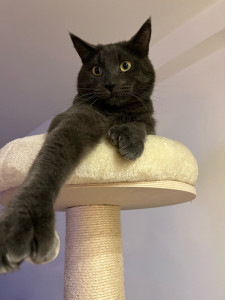 Photo de galerie - ?‍⬛