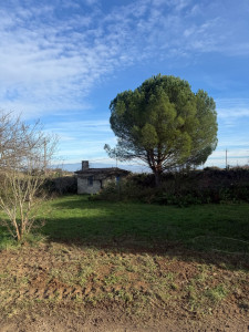 Photo de galerie - Taille sévère 