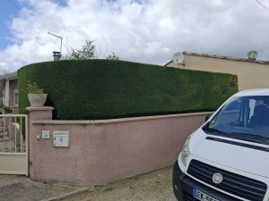Photo de galerie - Taille de haie