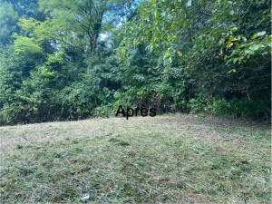 Photo de galerie - Après