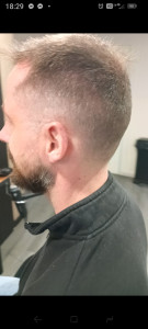 Photo de galerie - Dégradé naturel vu de derrière 