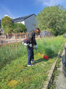 Photo de galerie - Débroussai avec la lame 