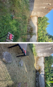 Photo de galerie - Débroussaillage 