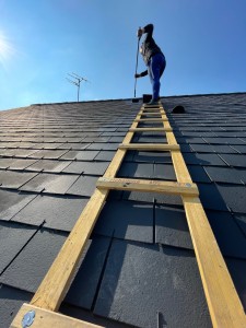 Photo de galerie - Couverture - Toiture