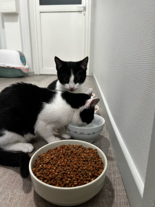 Photo de galerie - Deux frères 