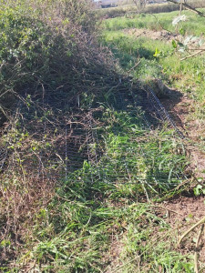 Photo de galerie - Bricolage et multi services