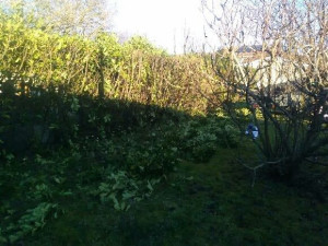 Photo de galerie - Paysagiste - Aménagement du jardin