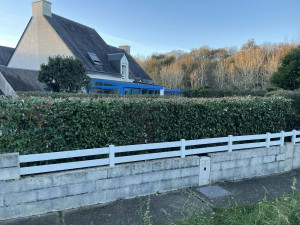 Photo de galerie - Rabattage d'une haie large et haute 